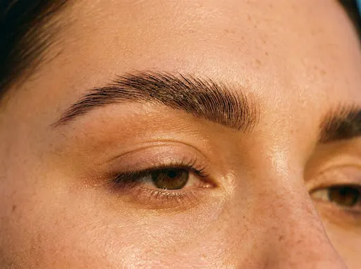 Brow artists