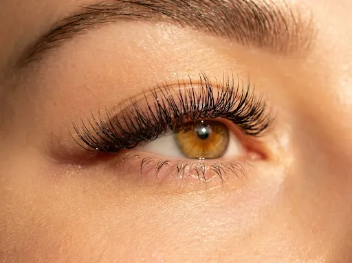 Lash designers
